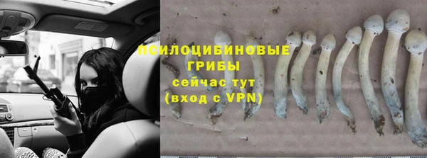 бутик Зерноград
