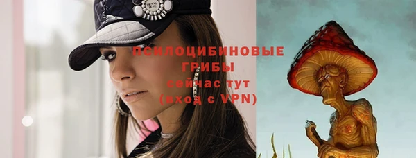трава Инта