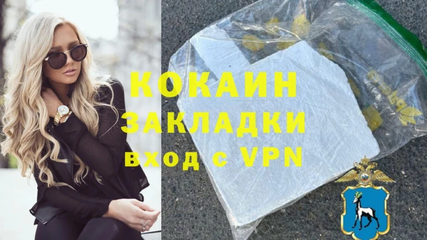 трава Инта