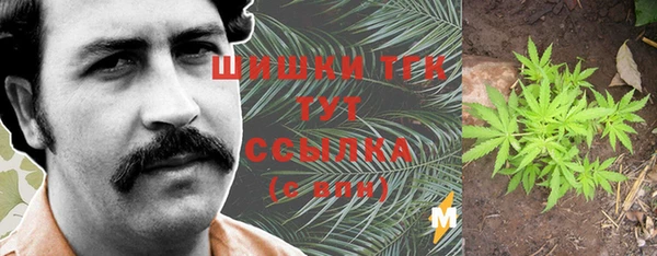 сатива Зеленодольск