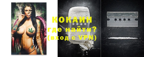 стаф Зеленокумск