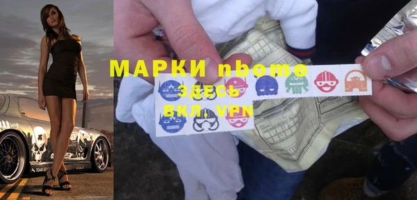 2c-b Инсар