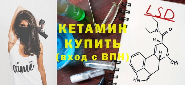 2c-b Инсар