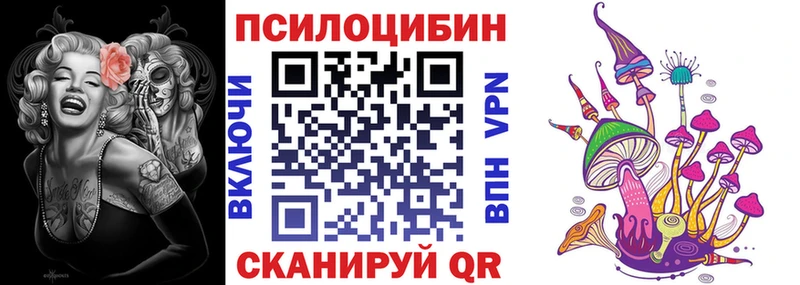 Псилоцибиновые грибы мицелий  закладки  Кандалакша 